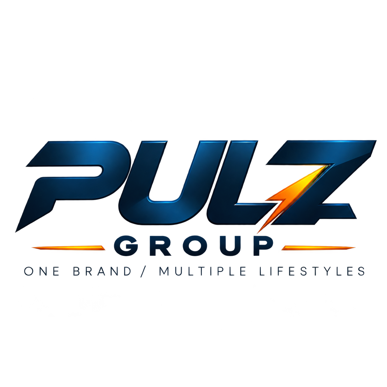 pulz group